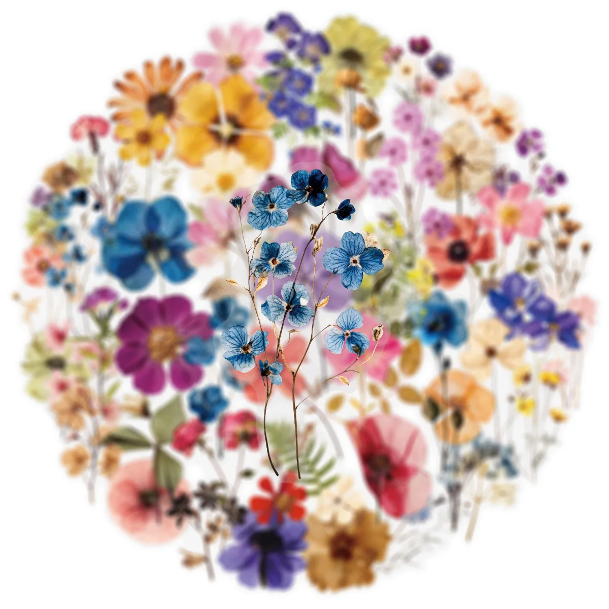 10/25/50개 투명 혼합 꽃 식물 스티커 DIY 방수용 여행가방 전화기 노트북 물병 노트북 스크랩북용