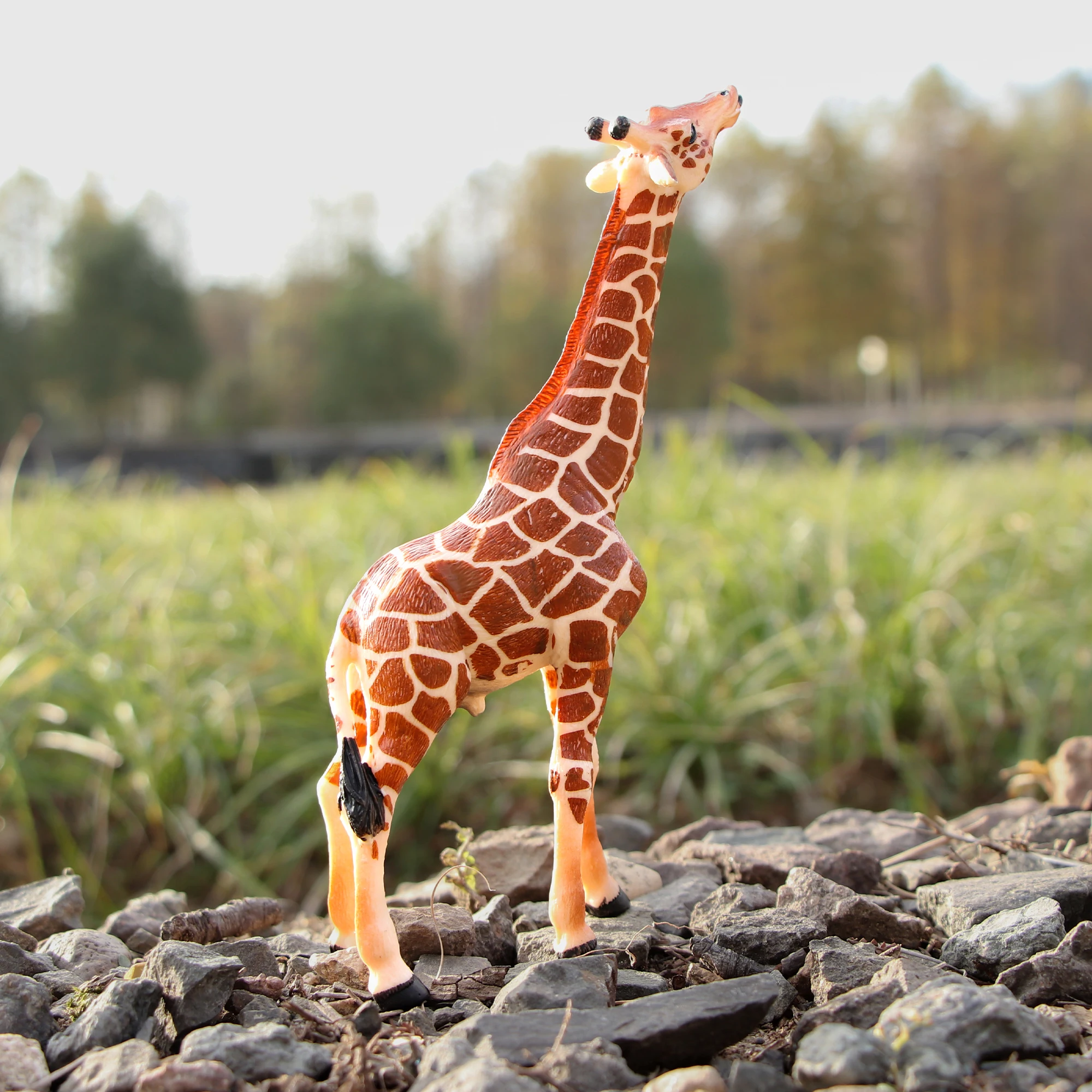 Collezione realistica di action figure di giocattoli di animali selvatici - Set da gioco modello 3D per bambini | Figurine di Zoo Regalo per la festa dei bambini - immagine 4