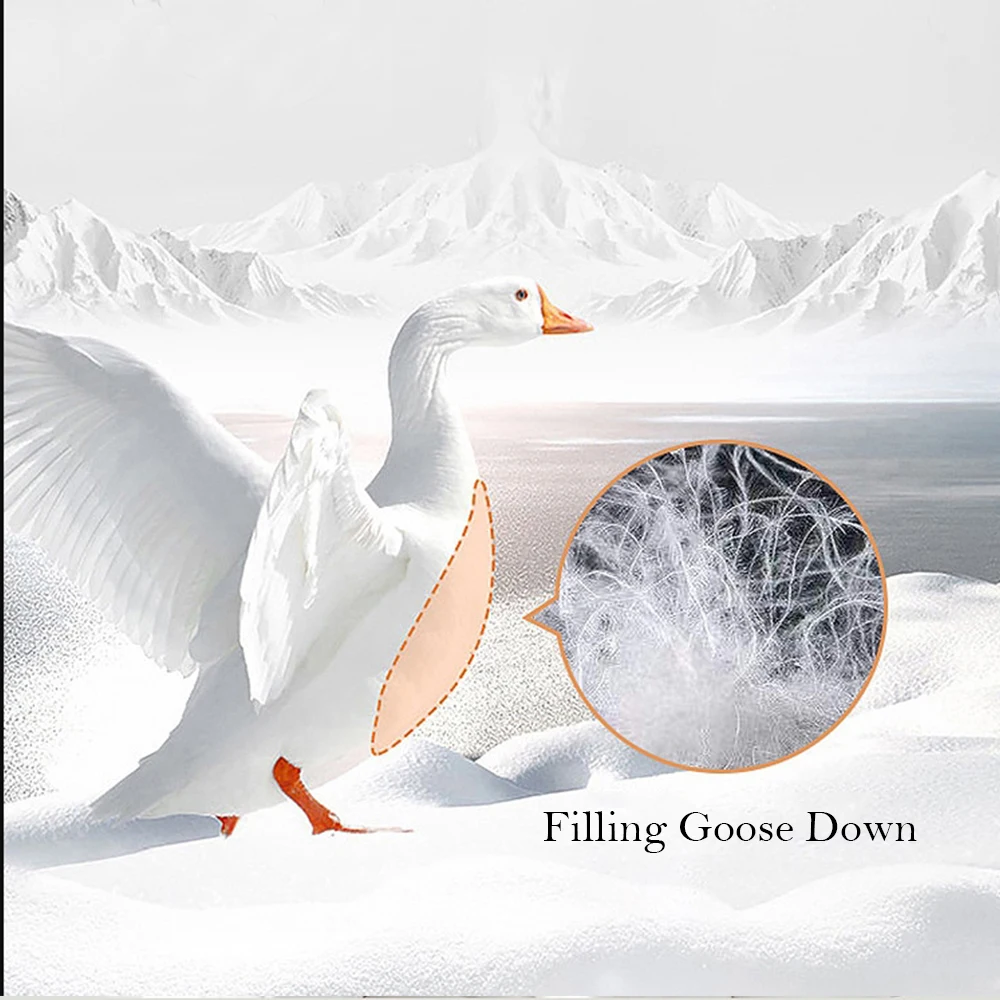 Liv-Esthete Noble White 100% Goose Down Pillow Sleep Gift Down-proof Queen King 100% Cotton White Neck Protection Bed Pillows 2