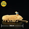 Trilobite High Fidelity Anime Redlichia Plushie Redlichiida Plush Toys Lifelike Ancient Animals Simulation Stuffed Doll Toy Gift 6
