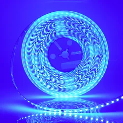 Vibrant Multi-Length LED Strip Lights - Flexible & Waterproof Ribbon - 10m (Blue)