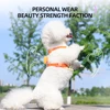 Comfortable Vest Style Dog Harness for Small Breeds - No-Pull Breathable Pet Harness with Leash Adjustable for Bichon Dogs 3