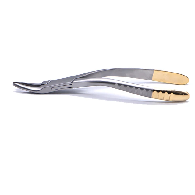 Professional Factory Dental Store