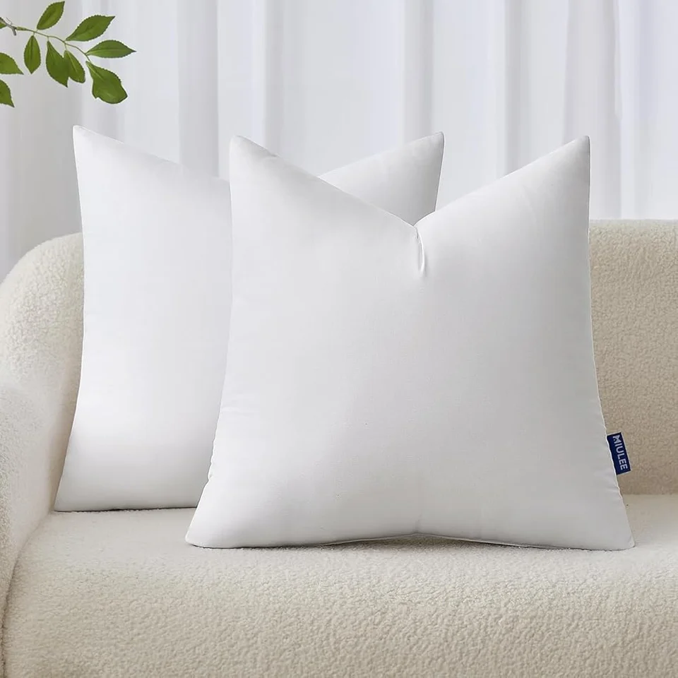 Pack of 2 Soft Throw Pillow Inserts 18x18
