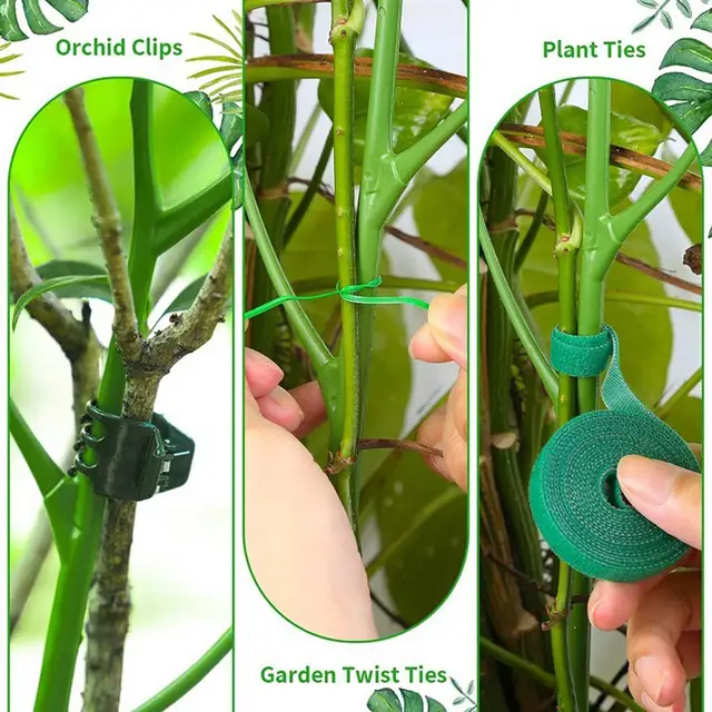 Növényi Tét Újrahasznosítható Könnyű Rögzítő Gally Támogató Orchidea Klipek Hegymászó Rács Kert - Image 6