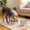 Stainless Steel Raised Pet Bowl,Cat Water and Food Dish, Spill-Proof Detachable Feeding Bowl for Small Pets Suitable for Puppies 5