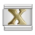 DJ110 X