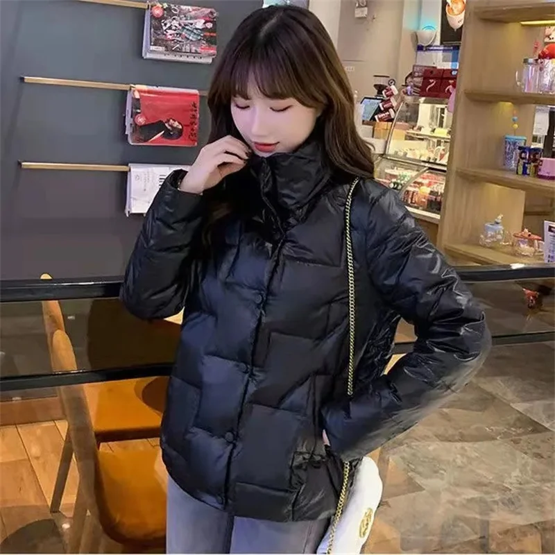 Fashion Stand-up Collar Down Padded Jacket Female 2022 New Loose Padded Jacket Women's Short Women's Small Padded Jacket Commute