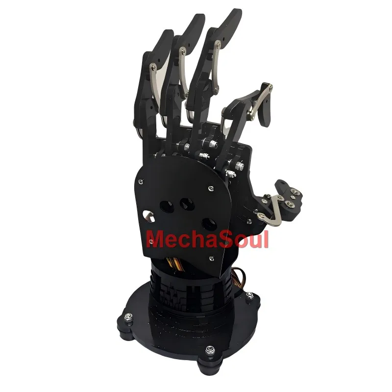 Left hand with base
