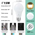 15W Warm White