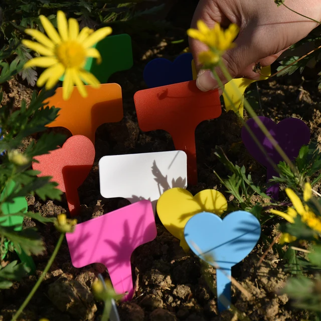 20PCS Plant Markers Plastic Waterproof Labels Stakes 59*98MM Garden Bonsai Succulent Seeding Thick Tag Sign on Soil Paint Sticks 5