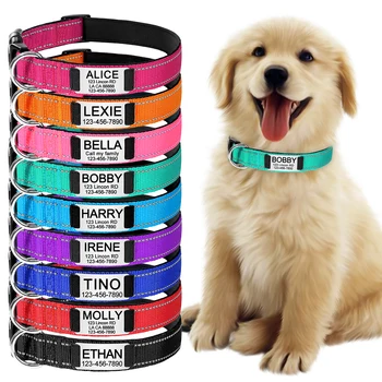 Adjustable Reflective Dog Collar – Personalized Nylon Collar with ID Tag 1