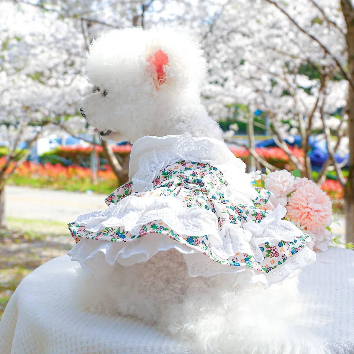 TaniWina Daisy Knit Princess Dress Set – Elegant Ruffled Floral Outfit for Small Dogs