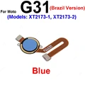 G31 Blue-Brazil
