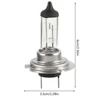 10PCS Halogen Headlight Bulb Super  Warm White Light H7 55W 12V Bulb Headlight Halogen Lamp Car HeadLight Replacement Bulb 6