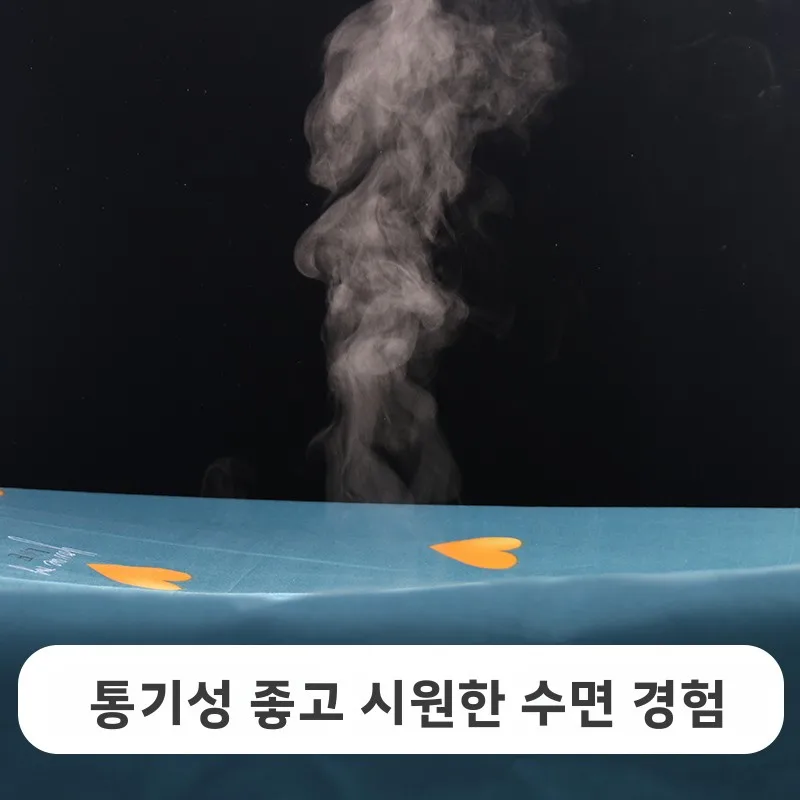 휴대용 여행 방오 침낭 성인 호텔 숙박용 더블 침대 이불 경량 캠핑 야외용품 (성인용)