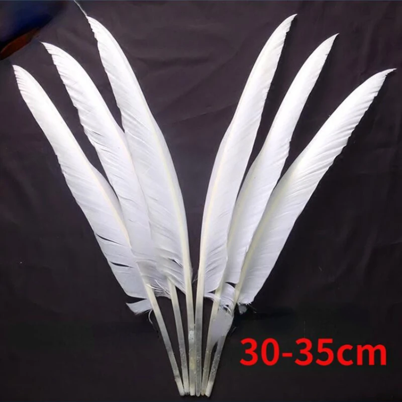 

6Pcs DIY Big Feather Wedding Feather Indian Headdress Angel Wings Feather Pen Material Diy Facinator Feathers Natural Feathers