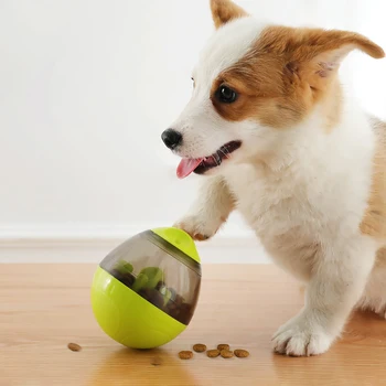 צעצוע כדור אליפסה לחטיפים לכלבים