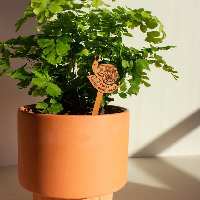 Kreatív Vízforraló Alak T-Típusú Bambusz Növényi Címkék Fa Jelzés Kerti Markerek A Bonsai Vetőmaghoz Cserepes Gyógynövények Szerszám - Image 5