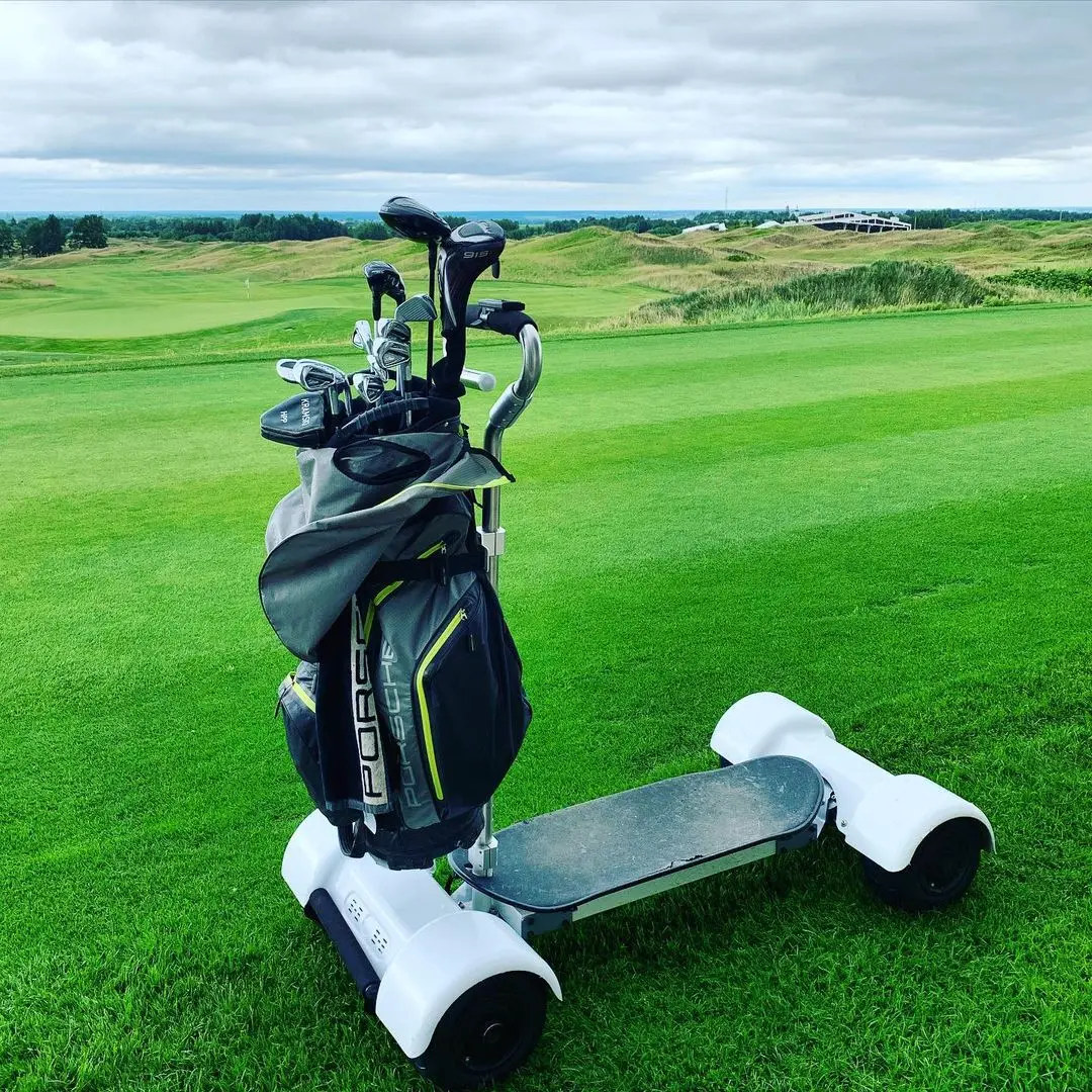 Электрическая тележка для гольфа ESWING