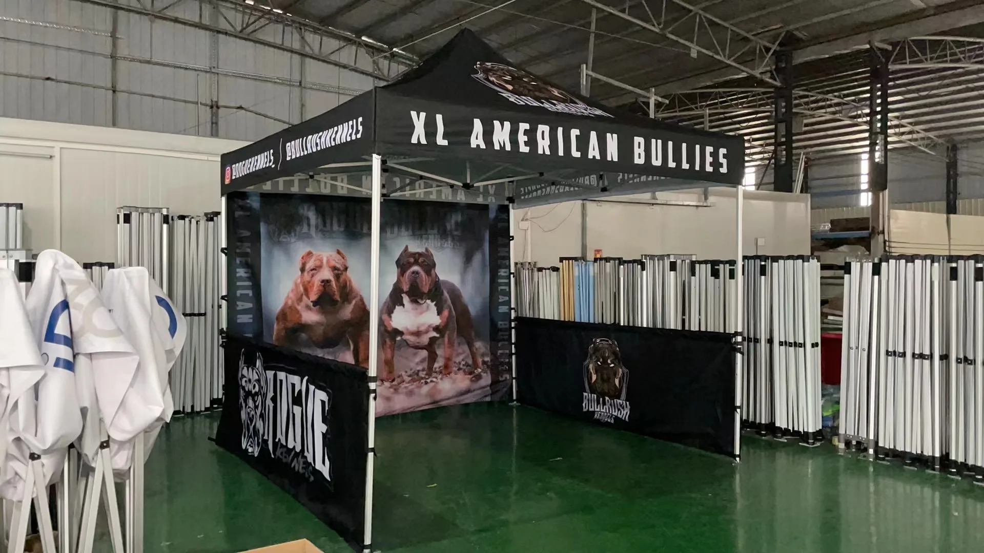 10X10ft 3X3m Roof Backwall Printed Canopy Tent For Promotion Display Exhibition sunshade tent