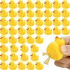 50 PCS Rubber Duck Bath Toys Multicolor Bath Ducks Bulk Float Duck Baby Bath Toy for Shower Birthday Party Favors Gift 5