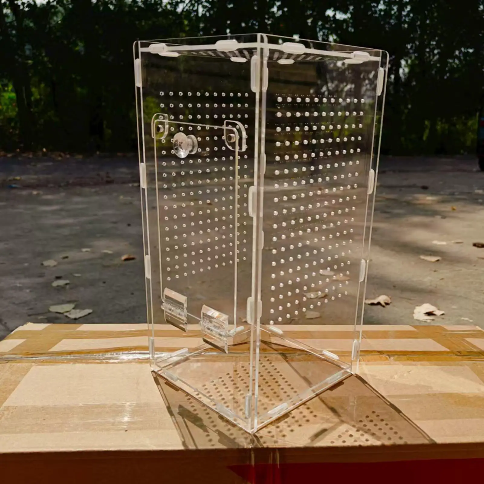 Spider Terrarium Cage 2