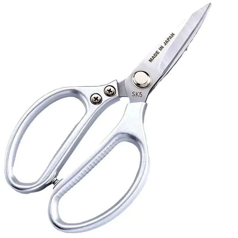 Silver scissors