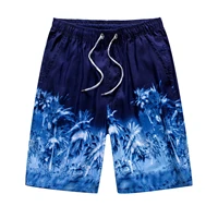 Men's Beach Shorts 3D Printed Summer Surfing Board Shorts Hawaii Shorts Men Women Swim Pants 1