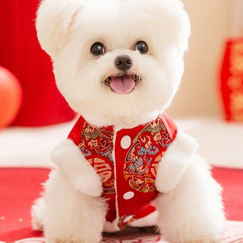 고양이 옷 빨간색 애완동물 탕복 캐릭터 푸 따뜻한 강아지 조끼 매듭 단추 고양이 코트 설날