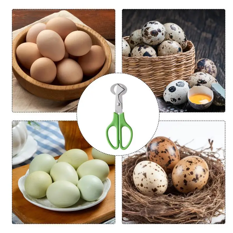 Slide image 25bbb501dead48b280570eabbfcce1e8