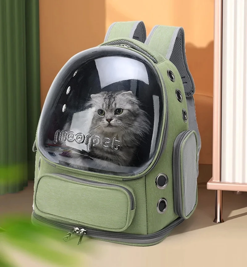 Gattino Zaino Gatto Grande Risparmia Alla Grande Su Spazio Capsule