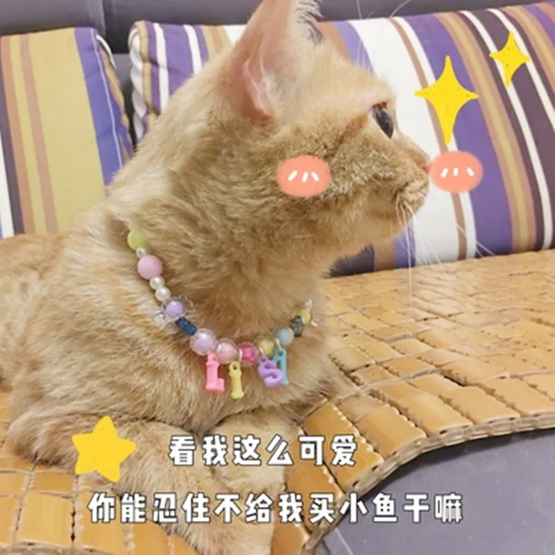 애완동물 고양이 및 개 이름 커스텀 브랜드 펜던트, 진주 구슬 목걸이, 고양이 칼라 장식 목걸이, 고양이 키트, 개 키트
