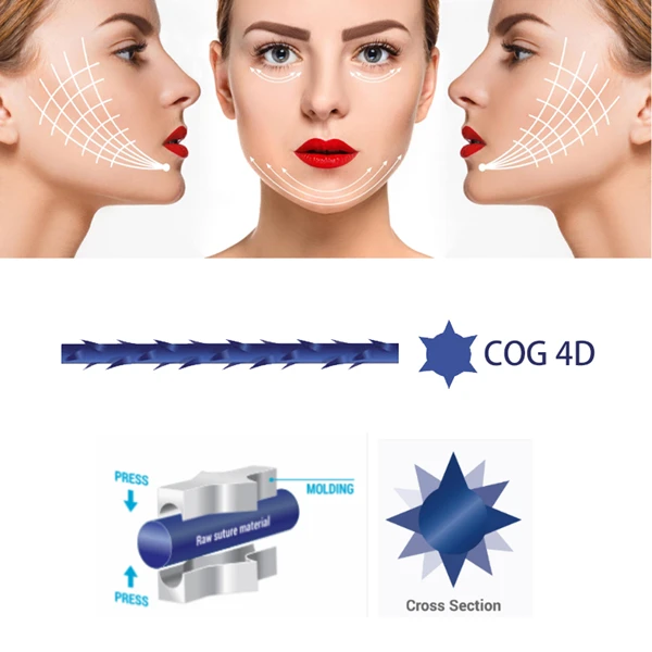 PDO PCL Beauty Store