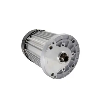 Motore per veicoli elettrici di alta qualità Motore per triciclo DC48V 60V 1500W Motore a trasmissione diretta