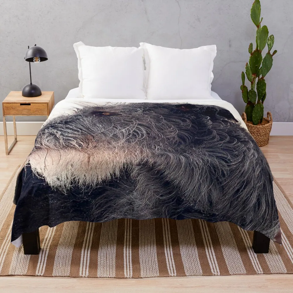 

Winter Wolfhound Throw Blanket Bed Fashionable Plush Blankets For Sofas Decorative Beds Blankets