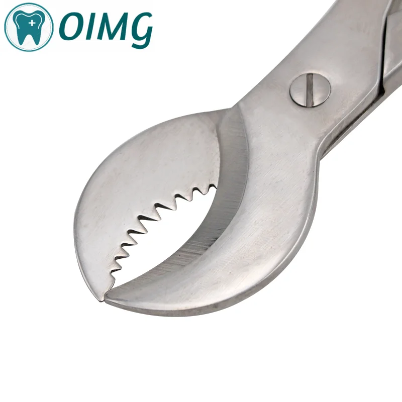 Рисунок 4 - Стоматологические Инструменты для