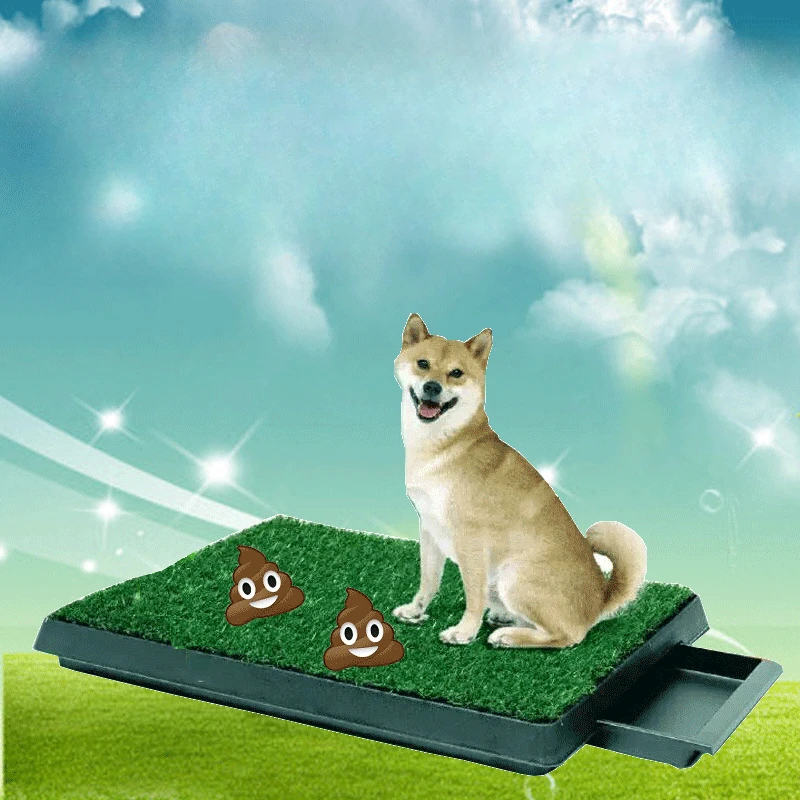Potty Training Dog Toilet Bath Products Accessori Per Scooper Toilette Per Cani Toelettatura Walking Piscine Chien Prodotti Per Animali Domestici Rr50