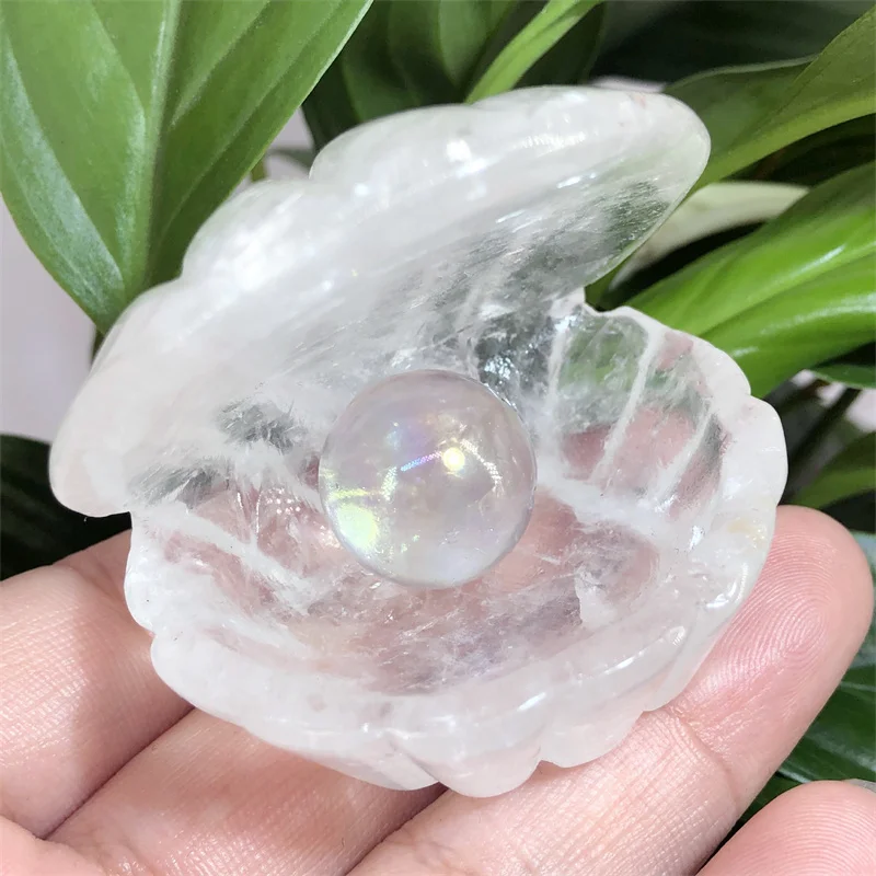 

5cm Natural Clear Quartz Crystal Shell Hand Carved Polished Quartz Healing Gemstones For Hoom Room Decor Gift 1pcs