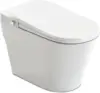 Elongated Smart Toilet Bidet in White with Auto Open Auto Close Auto Flush and Heated Seat  squat toilet 1