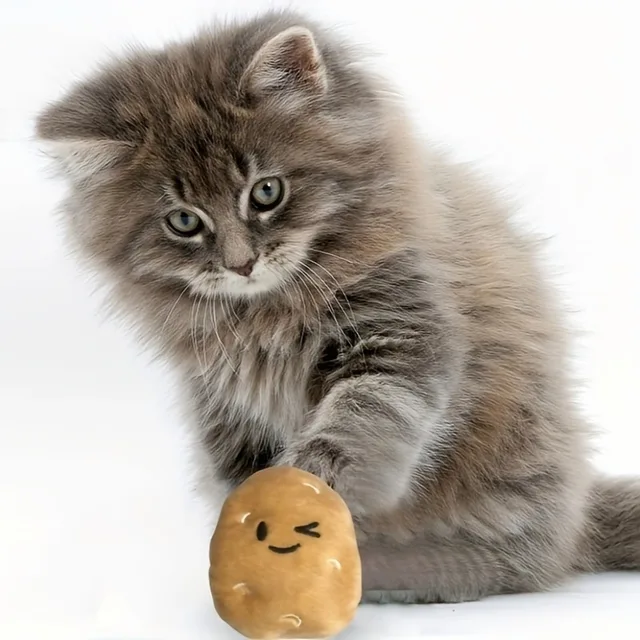 1Pc Cat Toys Cute Cartoon Plush Potato Shaped Pet Toy for Cats Kittens