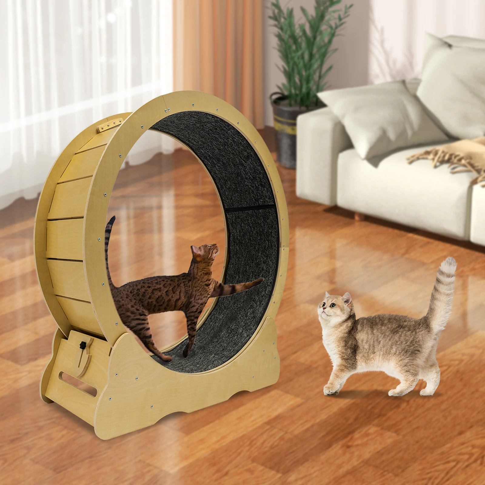 Cat Exercise Wheel, Running Wheel for Indoor Cats, Cat Hamster Wheels,Cat Gifts for Lovers,Health, Loss Weight