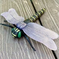 Dragonfly