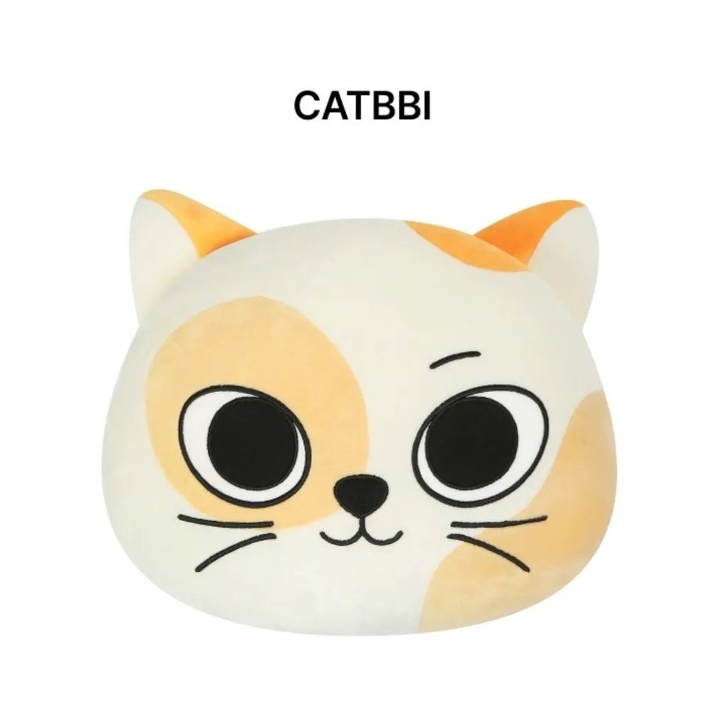 BBNEXDO クッション:DALRING•WOONBABY 30cm Kpop Idol BOYNEXTDOOR BBNEXDO Face Cushion - AliExpress