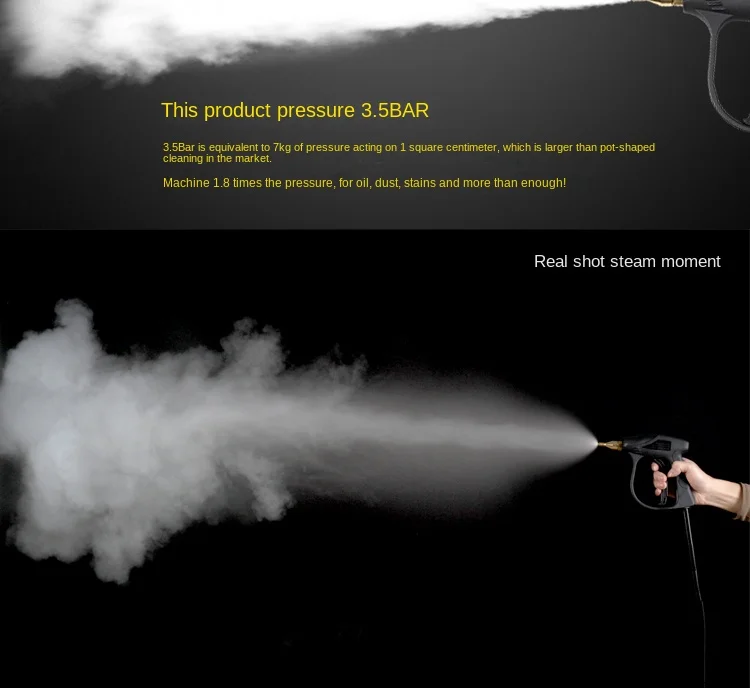 3000W 220V/110V Professional Steam Cleaner Handheld Steam Generator High Pressur