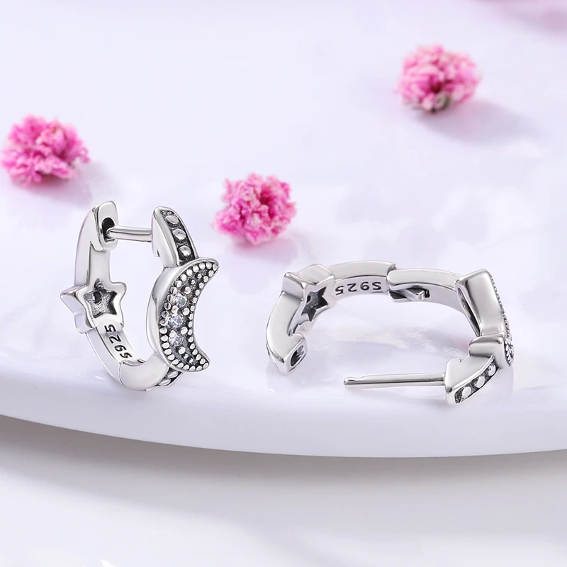 2022 Charm Double Hoop Earrings 925 Silver Sparkling Pave Stud Earring Gift For Women Engagement Jewelry Anniversary