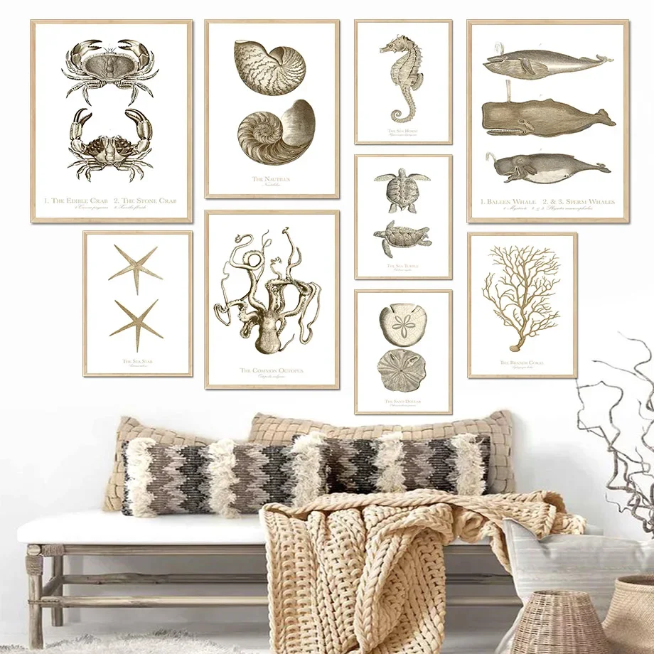 

Fossil Fish Turtle Snail Crab Coral Vintage Wall Art Canvas Painting Nordic Posters & Prints Wall Pictures For Living Room Decor