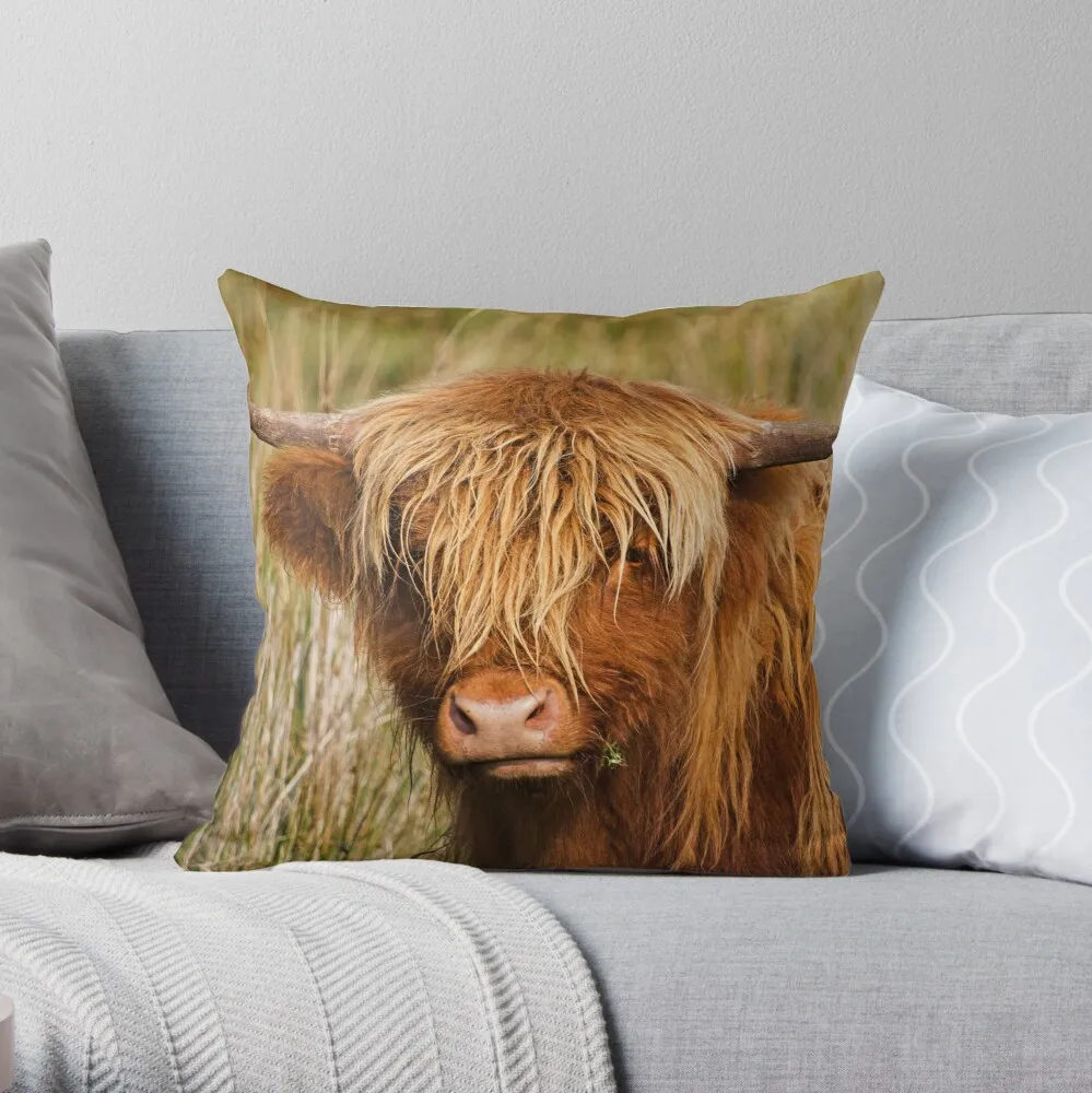 

Highland cow Throw Pillow Pillowcases For Pillows