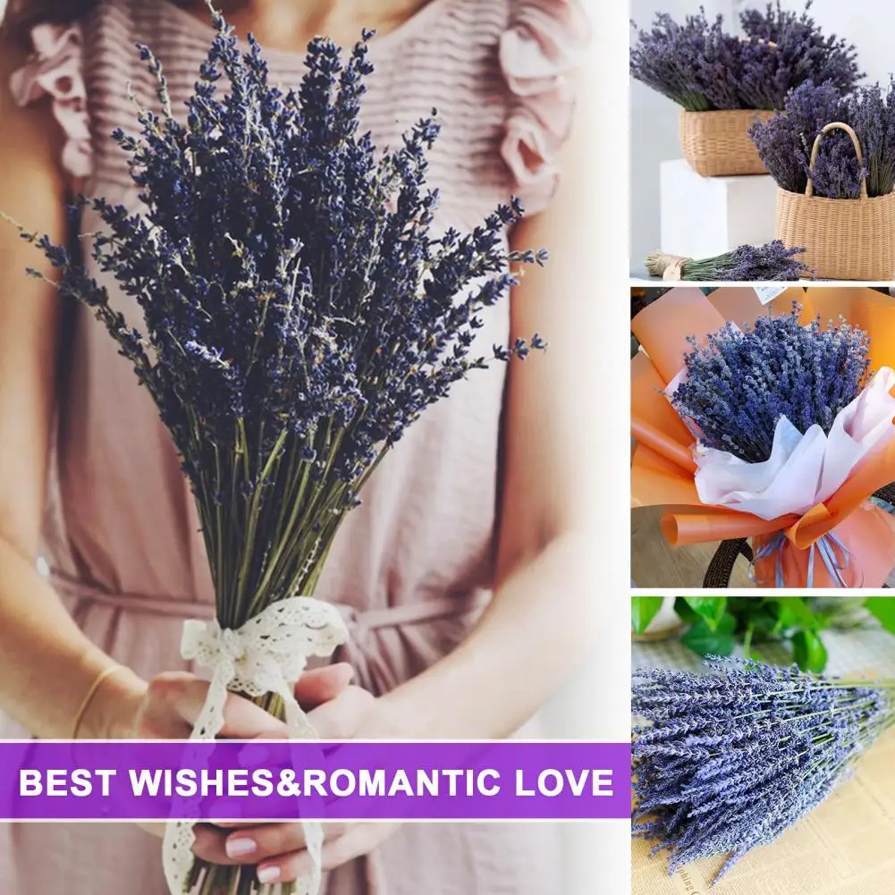Wedding Decor Full of Vitality Home Fragrance Dried Lavender Decor Plants  Decor