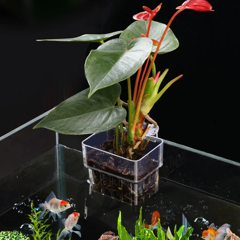 Hanging Aquarium Planter Cups Wall Mounted Aquatic Plants Holder Fish Tank Ornaments